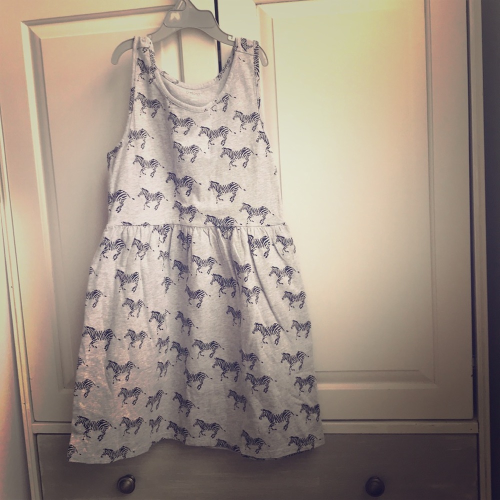 Zebra Dress